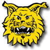 logo Ilves